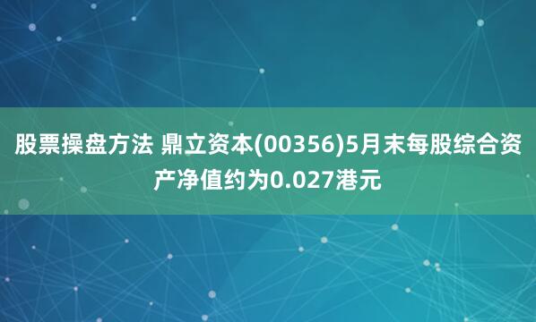 股票操盘方法 鼎立资本(00356)5月末每股综合资产净值约为0.027港元