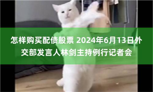 怎样购买配债股票 2024年6月13日外交部发言人林剑主持例行记者会