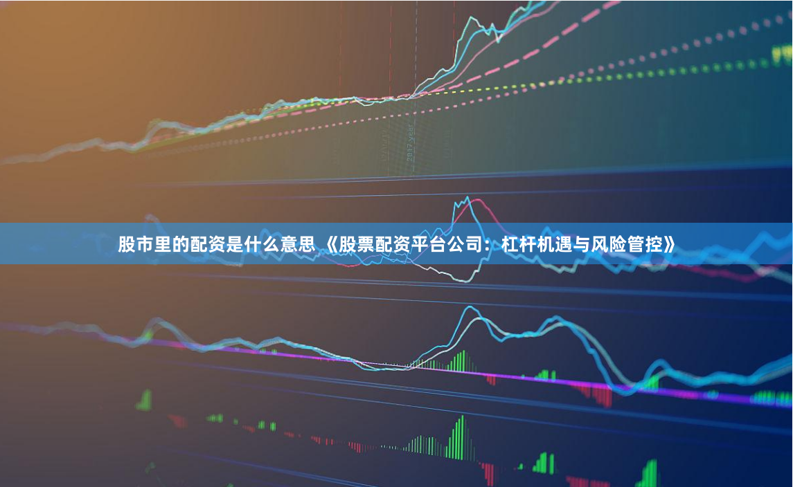 股市里的配资是什么意思 《股票配资平台公司：杠杆机遇与风险管控》