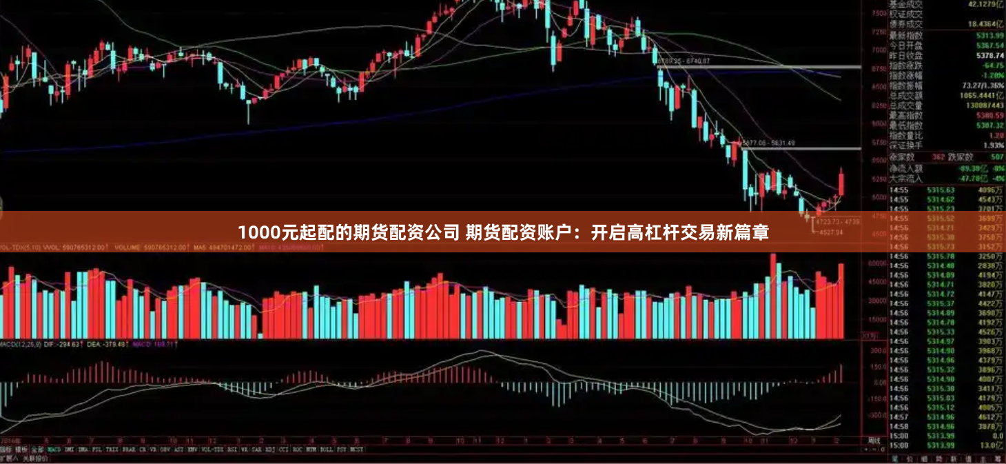 1000元起配的期货配资公司 期货配资账户:开启高杠杆交易新篇章